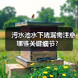 污水池水下堵漏需注意哪些关键细节? 污水池水下堵漏需注意哪些关键细节?
