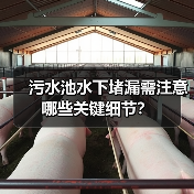 污水池水下堵漏需注意哪些关键细节?(图4) 污水池水下堵漏需注意哪些关键细节?(图4)