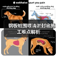 钢板桩围堰清淤封底施工难点解析（图4）