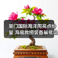 厦门国际海洋周亮点纷呈 海底救捞装备展鹭岛首秀(图2) 厦门国际海洋周亮点纷呈 海底救捞装备展鹭岛首秀(图2)