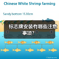 标志牌安装有哪些注意事项？（图4）