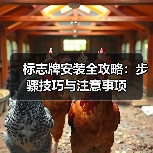 标志牌安装全攻略：步骤技巧与注意事项（图2）