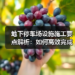 地下停车场设施施工要点解析：如何高效完成？（图2）
