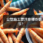 公路施工要注意哪些细节？