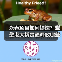永春项目如何提速？犁壁港大桥贯通释放哪些信号？（图2）