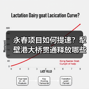 永春项目如何提速？犁壁港大桥贯通释放哪些信号？（图4）