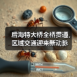 后海特大桥全桥贯通，区域交通迎来新动脉（图2）