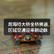 后海特大桥全桥贯通，区域交通迎来新动脉（图4）