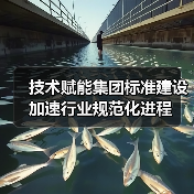 技术赋能集团标准建设 加速行业规范化进程