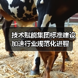 技术赋能集团标准建设 加速行业规范化进程（图4）