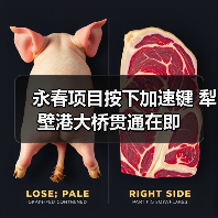 永春项目按下加速键 犁壁港大桥贯通在即（图2）