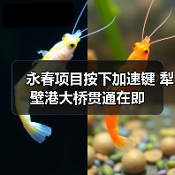 永春项目按下加速键 犁壁港大桥贯通在即（图3）