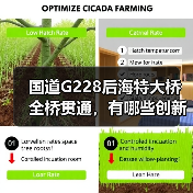 国道G228后海特大桥全桥贯通，有哪些创新技术？（图4）