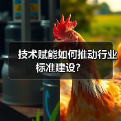 技术赋能如何推动行业标准建设？