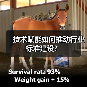 技术赋能如何推动行业标准建设？（图2）