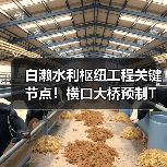 白濑水利枢纽工程关键节点！横口大桥预制T梁贯通（图2）