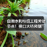 白濑水利枢纽工程关键节点！横口大桥预制T梁贯通（图4）