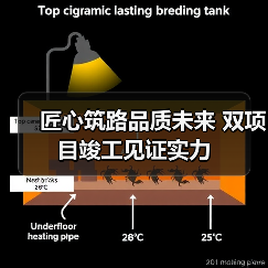 匠心筑路品质未来 双项目竣工见证实力