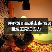 匠心筑路品质未来 双项目竣工见证实力（图2）