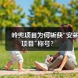 岭兜项目为何斩获