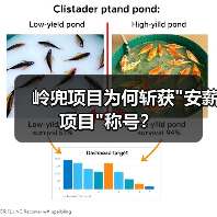 岭兜项目为何斩获