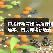 芦澳路马青路-翁角路段通车，告别拥堵新通道