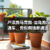 芦澳路马青路-翁角路段通车，告别拥堵新通道（图3）