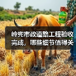 岭兜市政道路工程验收完成，哪些细节值得关注？