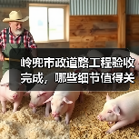岭兜市政道路工程验收完成，哪些细节值得关注？（图4）