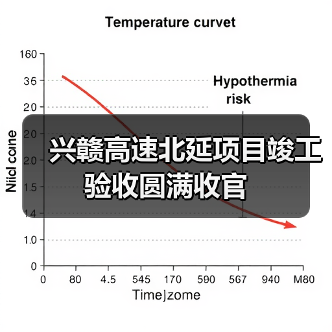兴赣高速北延项目竣工验收圆满收官（图3）