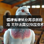 福建省建筑业再添新标准 无砂法真空预压技术规程成功立项（图2）