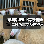 福建省建筑业再添新标准 无砂法真空预压技术规程成功立项 福建省建筑业再添新标准 无砂法真空预压技术规程成功立项