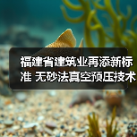 福建省建筑业再添新标准 无砂法真空预压技术规程成功立项（图3）