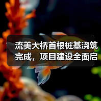 流美大桥首根桩基浇筑完成,项目建设全面启动 流美大桥首根桩基浇筑完成,项目建设全面启动