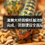 流美大桥首根桩基浇筑完成，项目建设全面启动（图2）
