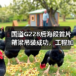 国道G228后海段首片箱梁吊装成功,工程加速驶入快车道 国道G228后海段首片箱梁吊装成功,工程加速驶入快车道