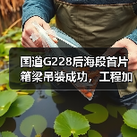 国道G228后海段首片箱梁吊装成功，工程加速驶入快车道（图4）