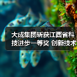大成集团斩获江西省科技进步一等奖 创新技术守护边坡安全(图2) 大成集团斩获江西省科技进步一等奖 创新技术守护边坡安全(图2)