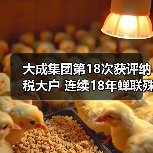 大成集团第18次获评纳税大户 连续18年蝉联殊荣（图4）