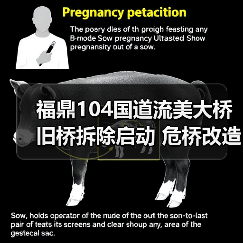 福鼎104国道流美大桥旧桥拆除启动 危桥改造迈入新阶段（图4）
