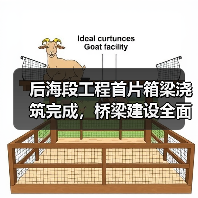 后海段工程首片箱梁浇筑完成，桥梁建设全面展开！（图4）