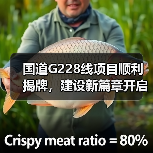 国道G228线项目顺利揭牌,建设新篇章开启 国道G228线项目顺利揭牌,建设新篇章开启