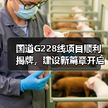 国道G228线项目顺利揭牌，建设新篇章开启（图2）