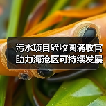 污水项目验收圆满收官 助力海沧区可持续发展（图2）