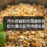 污水项目验收圆满收官 助力海沧区可持续发展（图3）