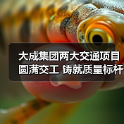 大成集团两大交通项目圆满交工 铸就质量标杆工程