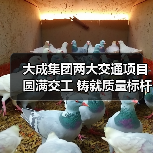 大成集团两大交通项目圆满交工 铸就质量标杆工程(图3) 大成集团两大交通项目圆满交工 铸就质量标杆工程(图3)