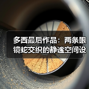 多西最后作品:两条眼镜蛇交织的静谧空间设计(图4) 多西最后作品:两条眼镜蛇交织的静谧空间设计(图4)