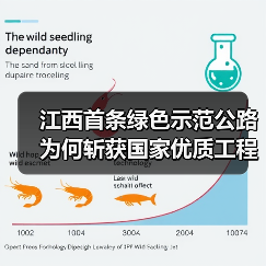 江西首条绿色示范公路为何斩获国家优质工程奖？