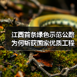 江西首条绿色示范公路为何斩获国家优质工程奖?(图2) 江西首条绿色示范公路为何斩获国家优质工程奖?(图2)